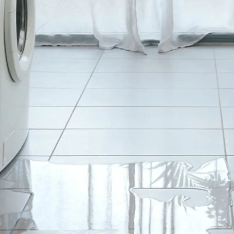 Appliance Leak Cleanup in Heber, CA