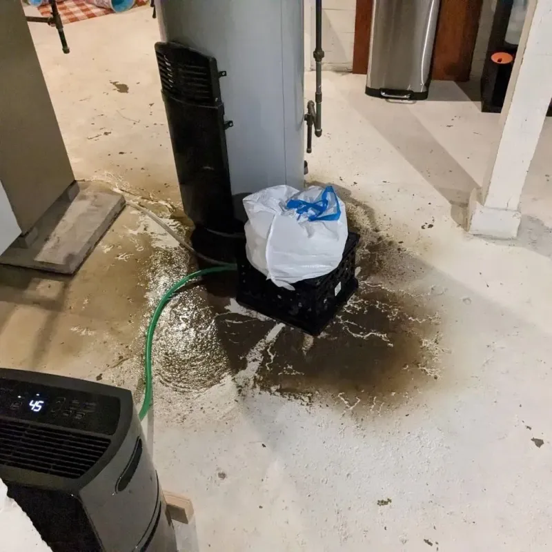 Sewage Backup Cleanup Service in Heber, CA